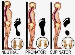 Ítalo Giordani Bortolozo - Almada - Fisioterapia