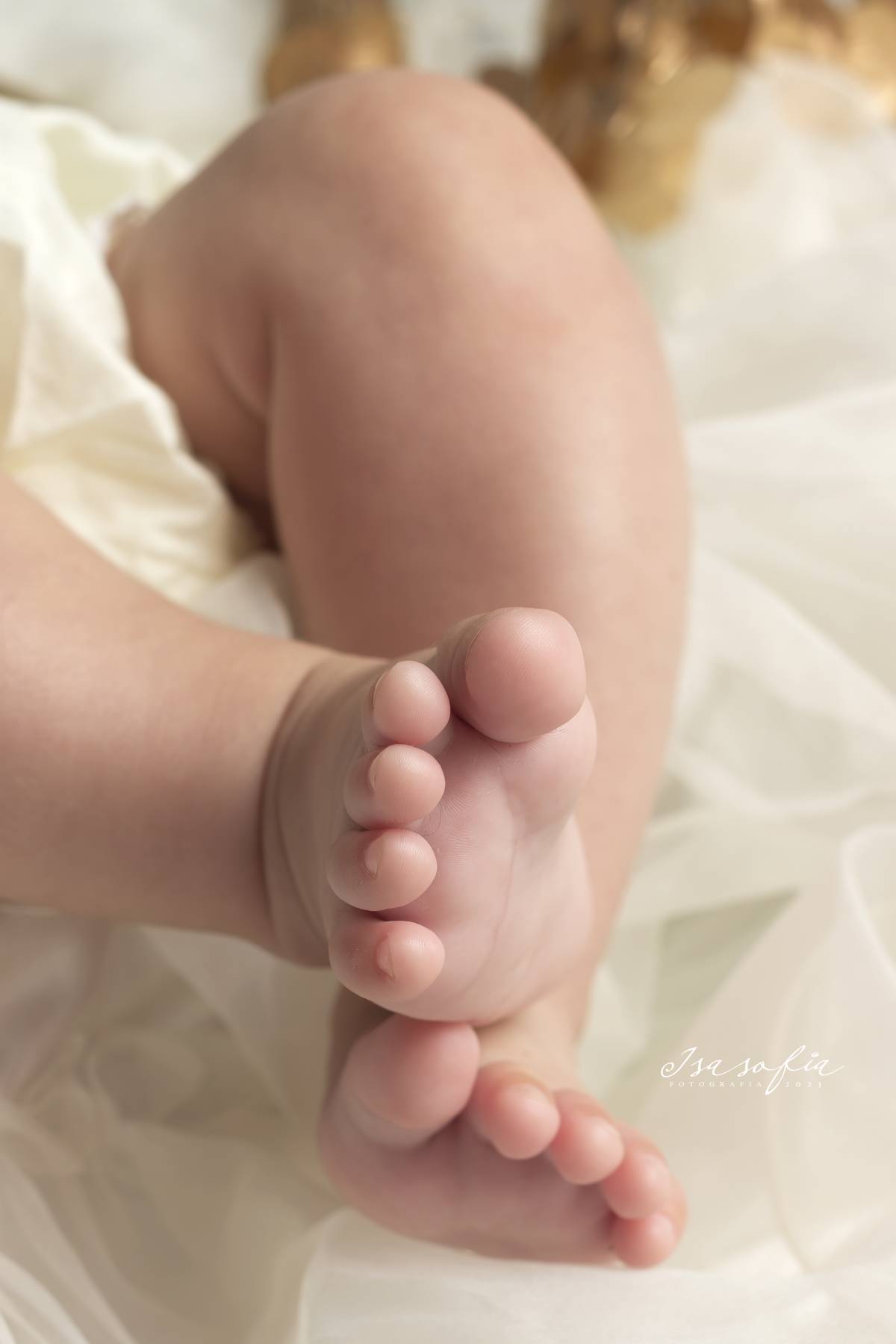 THINK PINK - Batalha - Family Portrait Photography