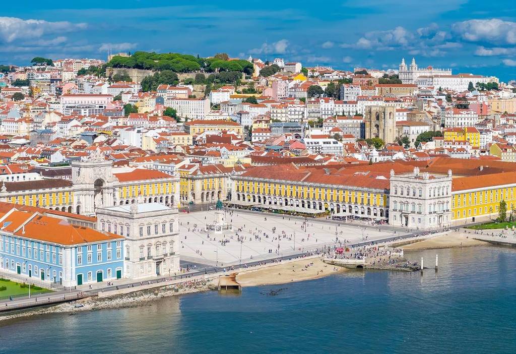 Allan Brandão - Lisboa - Bains et toilettage pour animaux