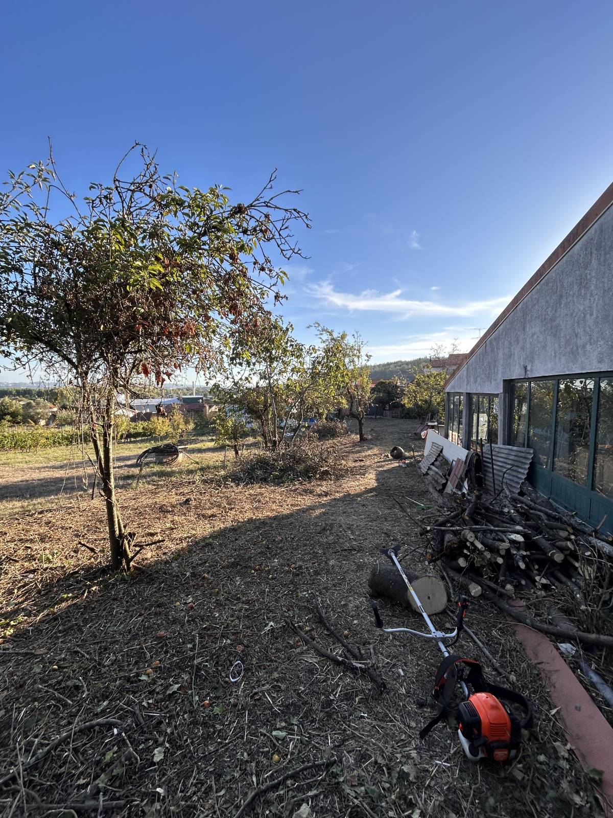 Forestwood - Montemor-o-Velho - Quitanieves (Residencial)