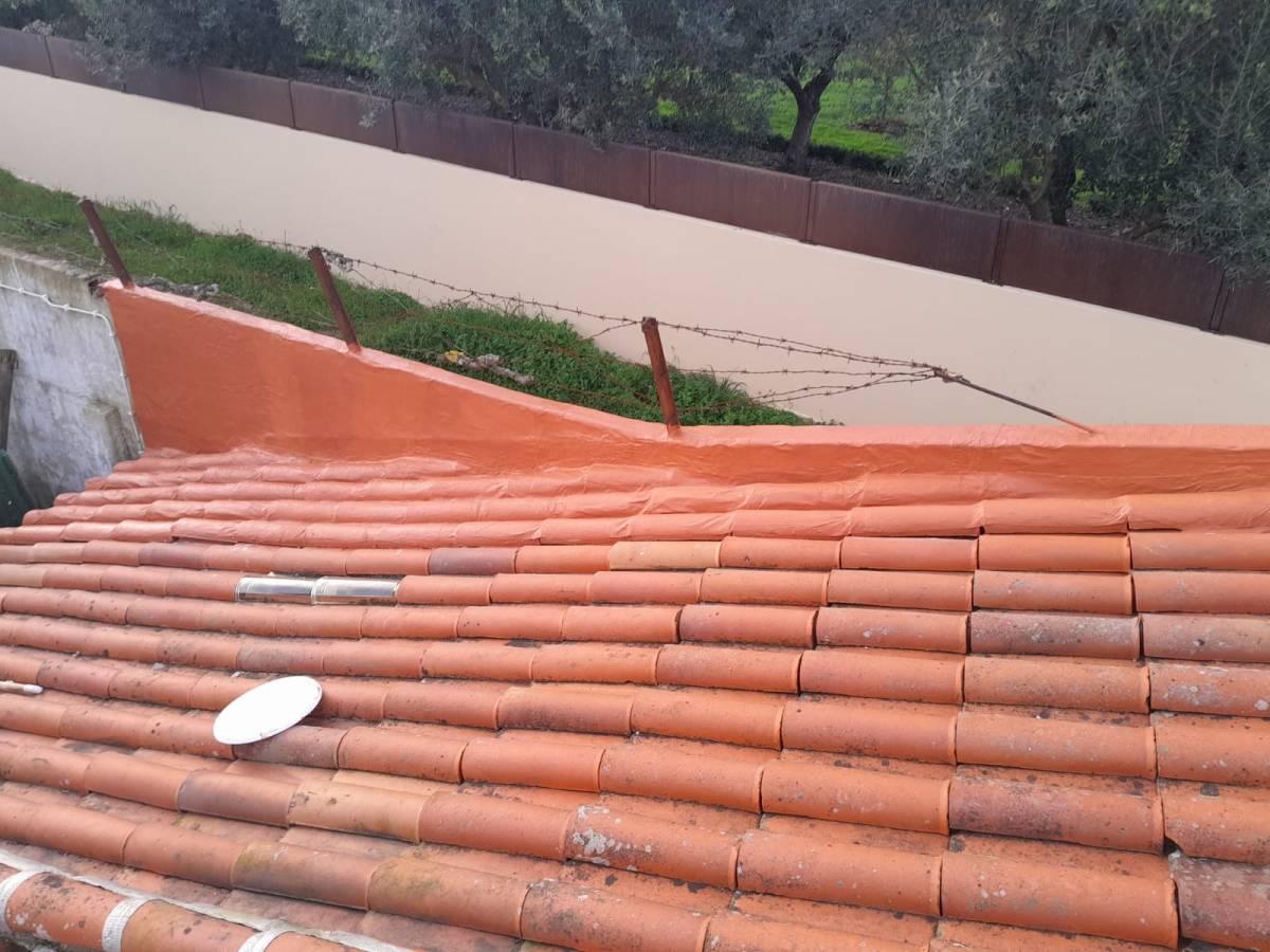 SF Especialista em Telhados - Tondela - Ladrilhos e Azulejos