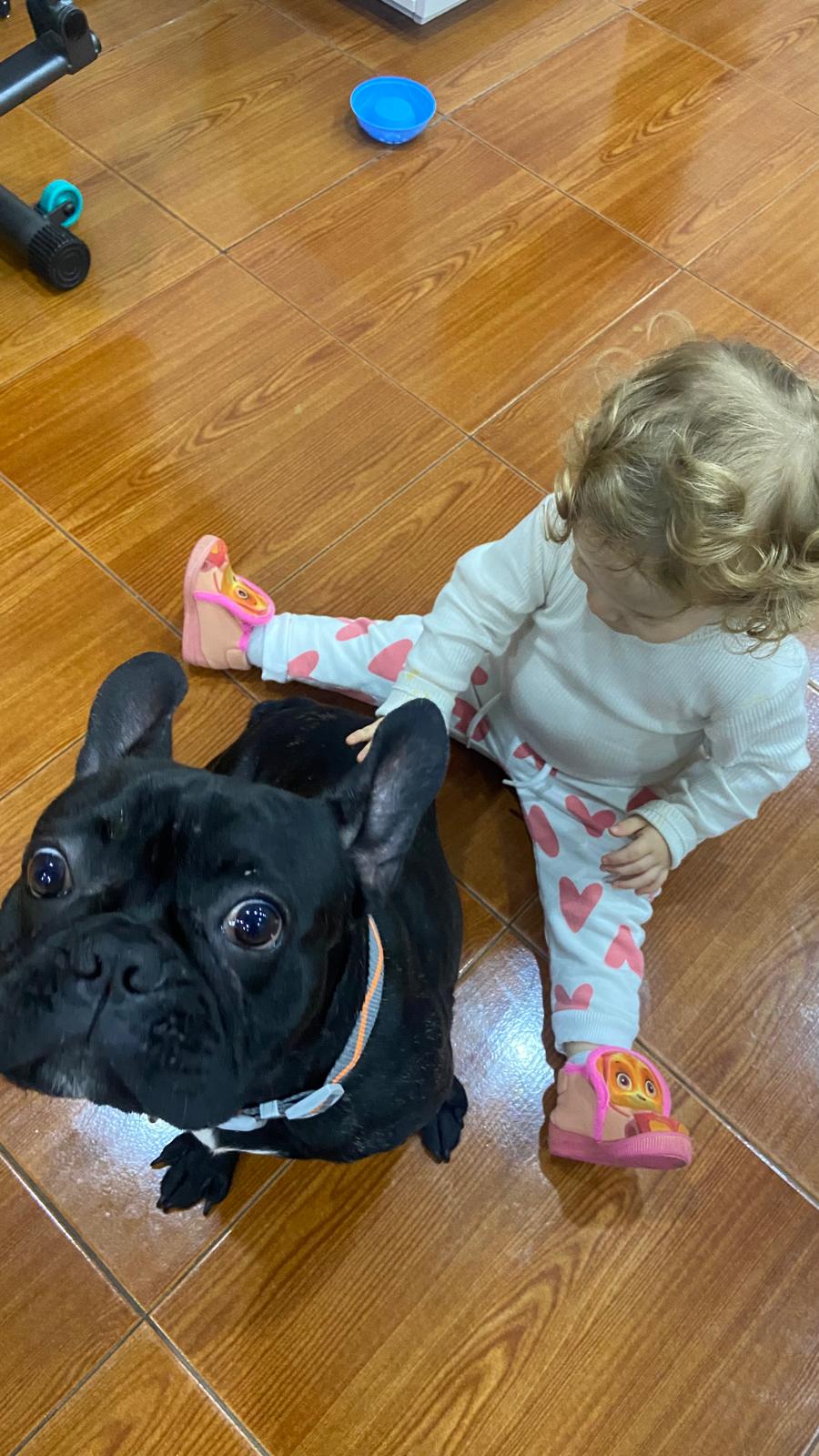 Filipa - Ovar - Cuidado y peluquería para mascotas