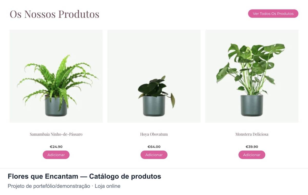 Rosa Studio Design - Vila Nova de Gaia - Webprogrammierung