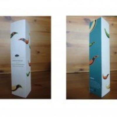 Carmo Lopes - Lisboa - Presentation Design