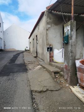 Fábio Ramos - Alcobaça - Remoção de Arbustos