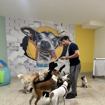 João Francisco - Lisboa - Treino Animal e Modificação Comportamental (Não-canino)