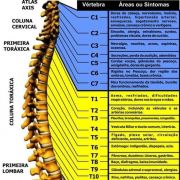 Ítalo Giordani Bortolozo - Almada - Fisioterapia
