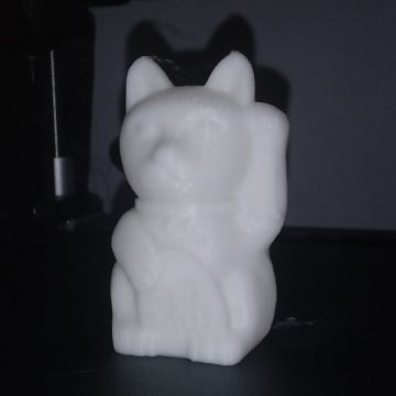 Raul Jardim - Lisboa - 3D Printing