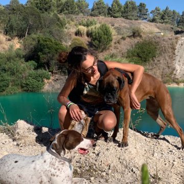 Ema - Amadora - Dog Hotel