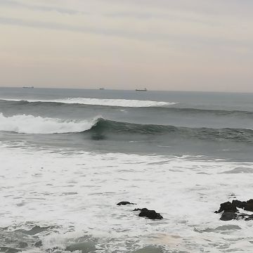 Ricardo - Vila Nova de Gaia - Minibagger mieten