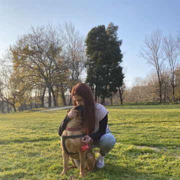 Adriana Carneiro - Guimarães - Katzensitter