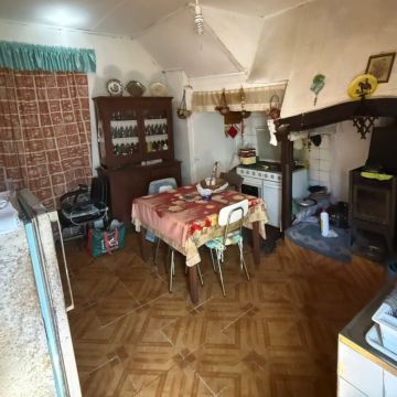 Figueira house renovations - Figueira da Foz - Enlèvement d'arbustes