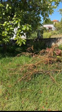 HOLY WISDOM - Porto - Move-in or Move-out Cleaning