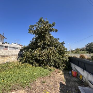 Forestwood - Montemor-o-Velho - Jardinería
