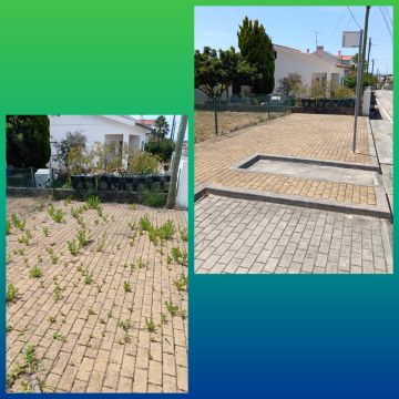 Luís Miranda - Coimbra - Tree Stump Grinding and Removal