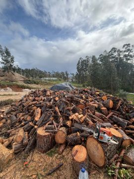 Forestwood - Montemor-o-Velho - Eliminación de arbustos