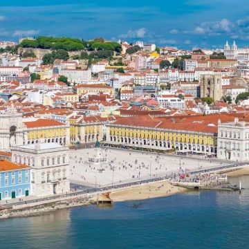 Allan Brandão - Lisboa - Bains et toilettage pour animaux