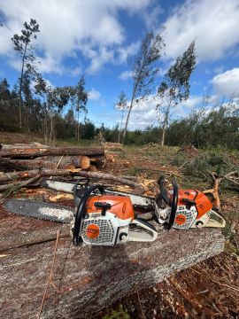 Forestwood - Montemor-o-Velho - Multiservicios de cuidados del césped