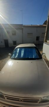 Car Painter