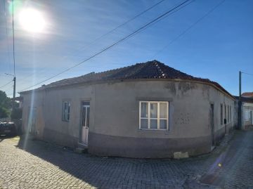 Architect