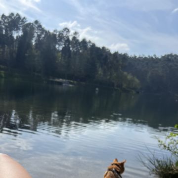 Sara Carvalho - Fafe - Paseador de perros