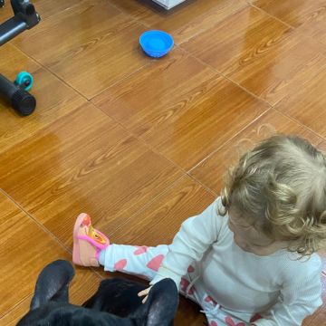 Filipa - Ovar - Cuidado y peluquería para mascotas