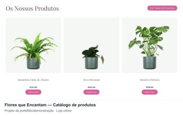 Rosa Studio Design - Vila Nova de Gaia - Webprogrammierung