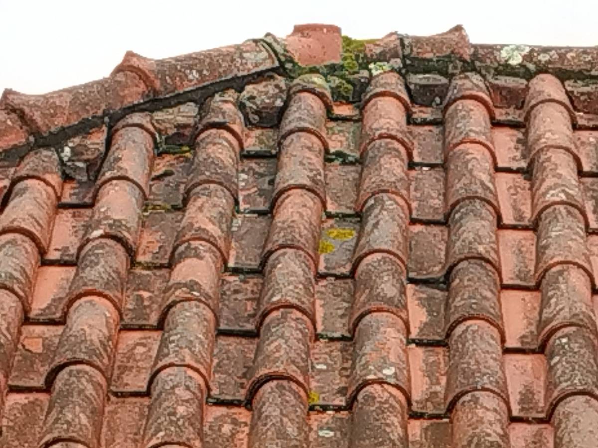 Lx Telhados - Almada - Limpeza de Telhado