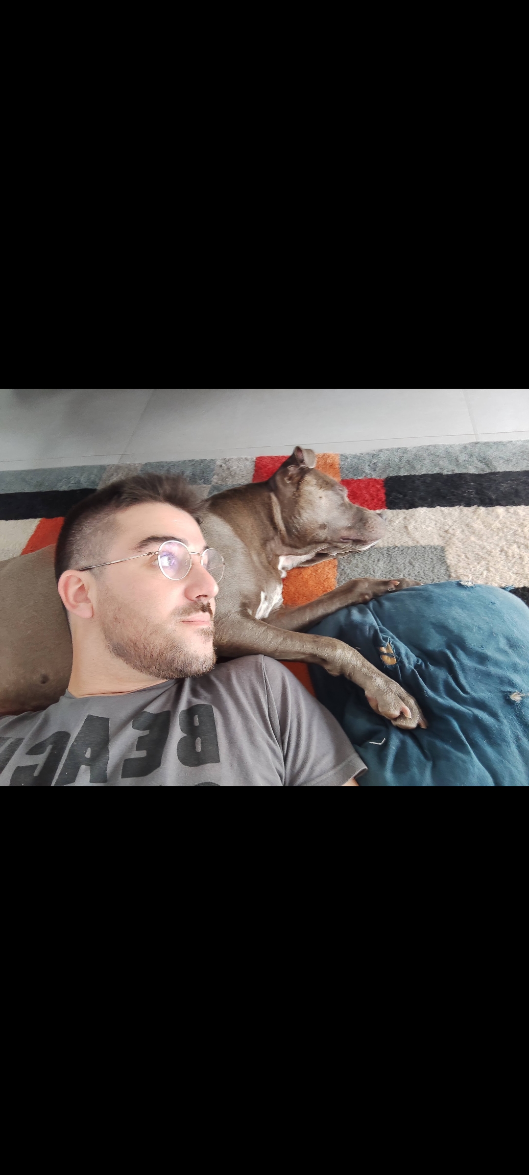 Tiago Lourenço - Vila Franca de Xira - Paseador de perros