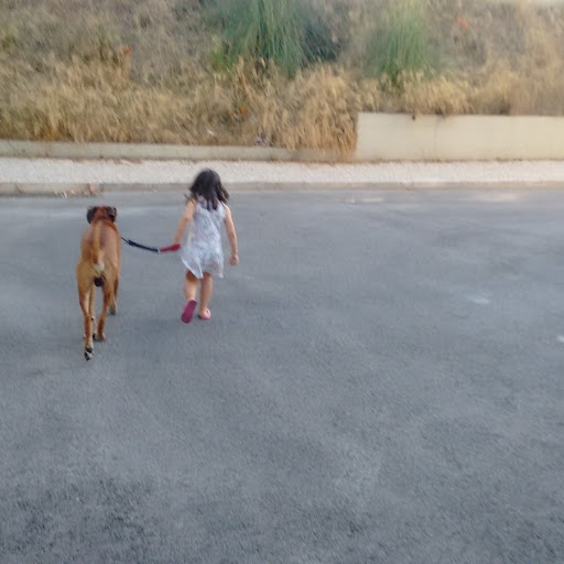 Maria Inês Milheiro - Sintra - Hotel de Animais de Estimação