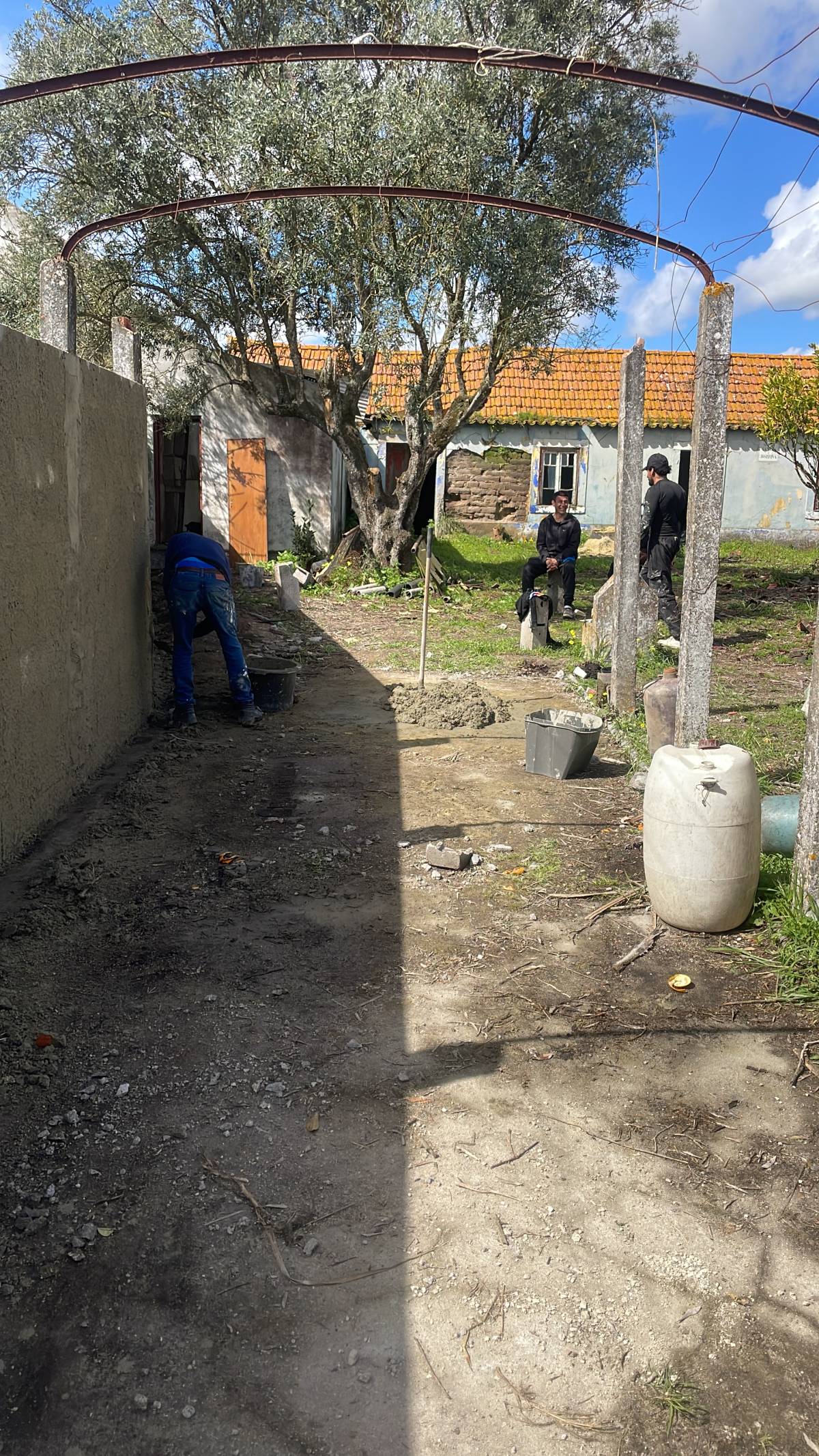 Júlio Lima Jardinagem - Montijo - Corte e Aparação de Relvado