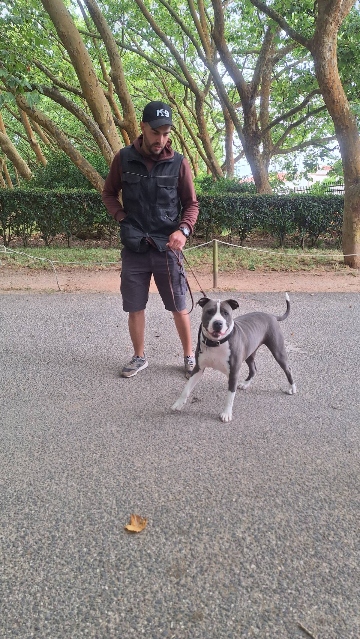 Joaosilva.dogtrainer - Caldas da Rainha - Treino de Cães