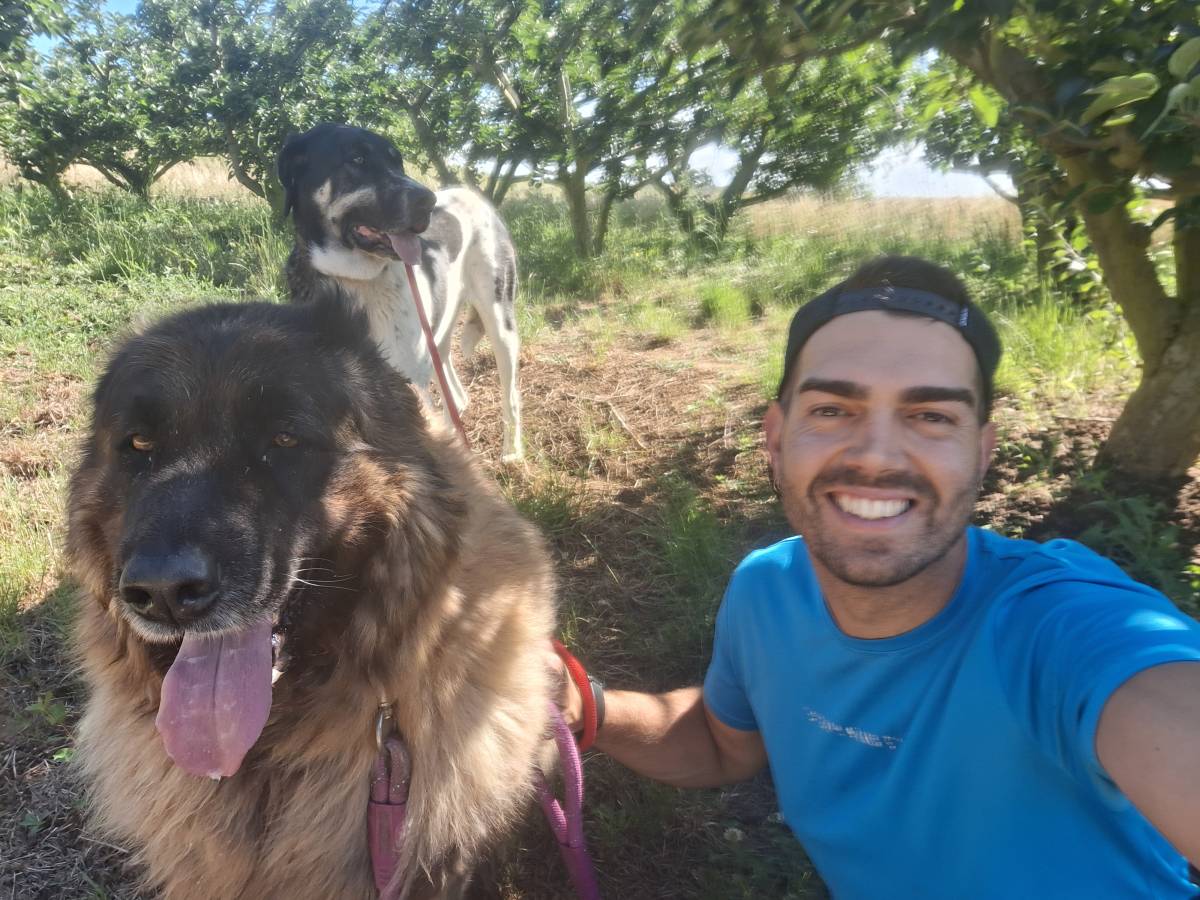 Joaosilva.dogtrainer - Caldas da Rainha - Cat Sitting