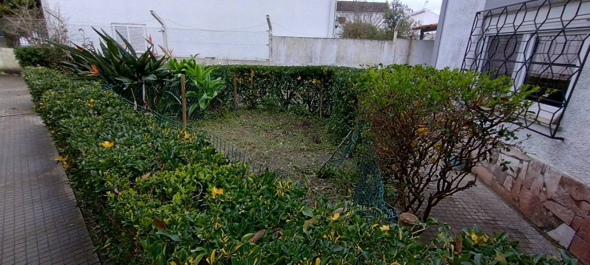 Júlio Lima Jardinagem - Montijo - Tratamento de Relvado