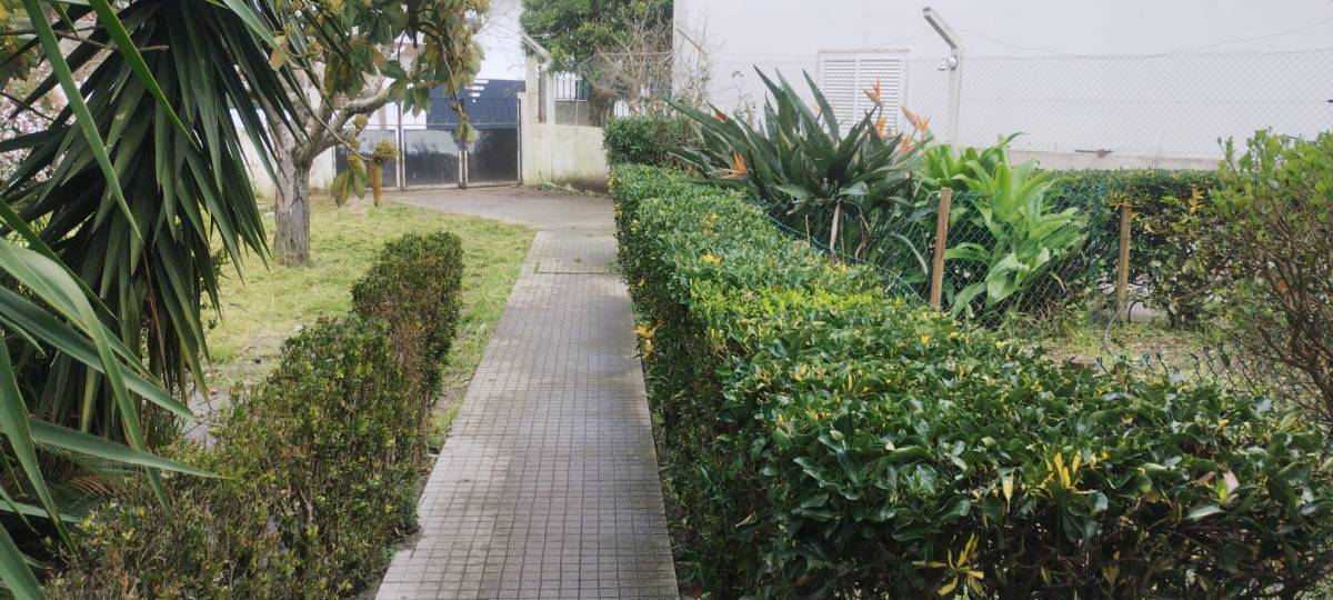 Júlio Lima Jardinagem - Montijo - Remoção de Arbustos