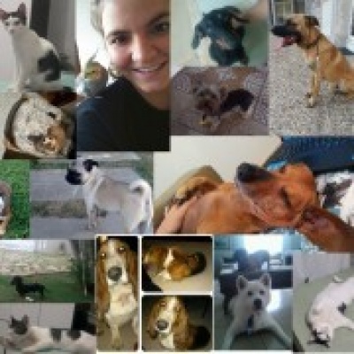 Petsitter Famalicão - Vila Nova de Famalicão - Hundepension