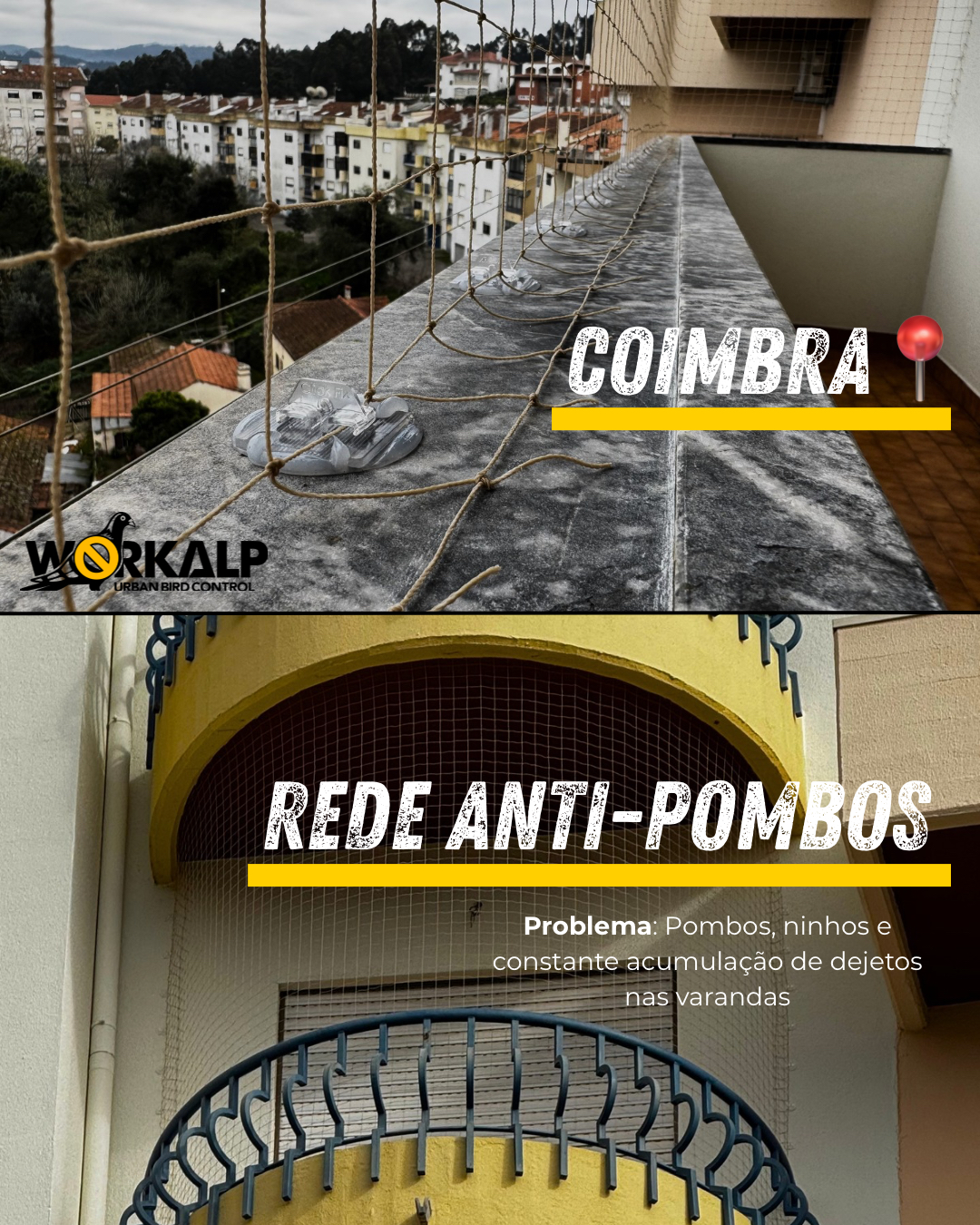 AntiPombos.pt - Workalp Bird Control - Anadia - Reinigung