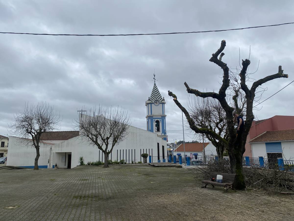 GEONACIONAL UNIPESSOAL LDA. - Torres Novas - Exterior Painting