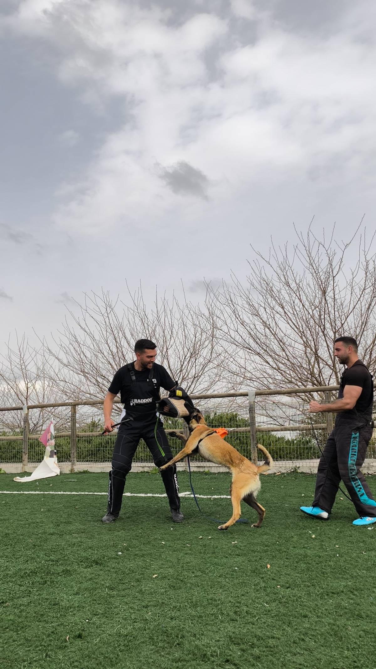 Joaosilva.dogtrainer - Caldas da Rainha - Treino de Animais