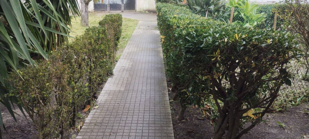 Júlio Lima Jardinagem - Montijo - Limpa-neves (Residencial)