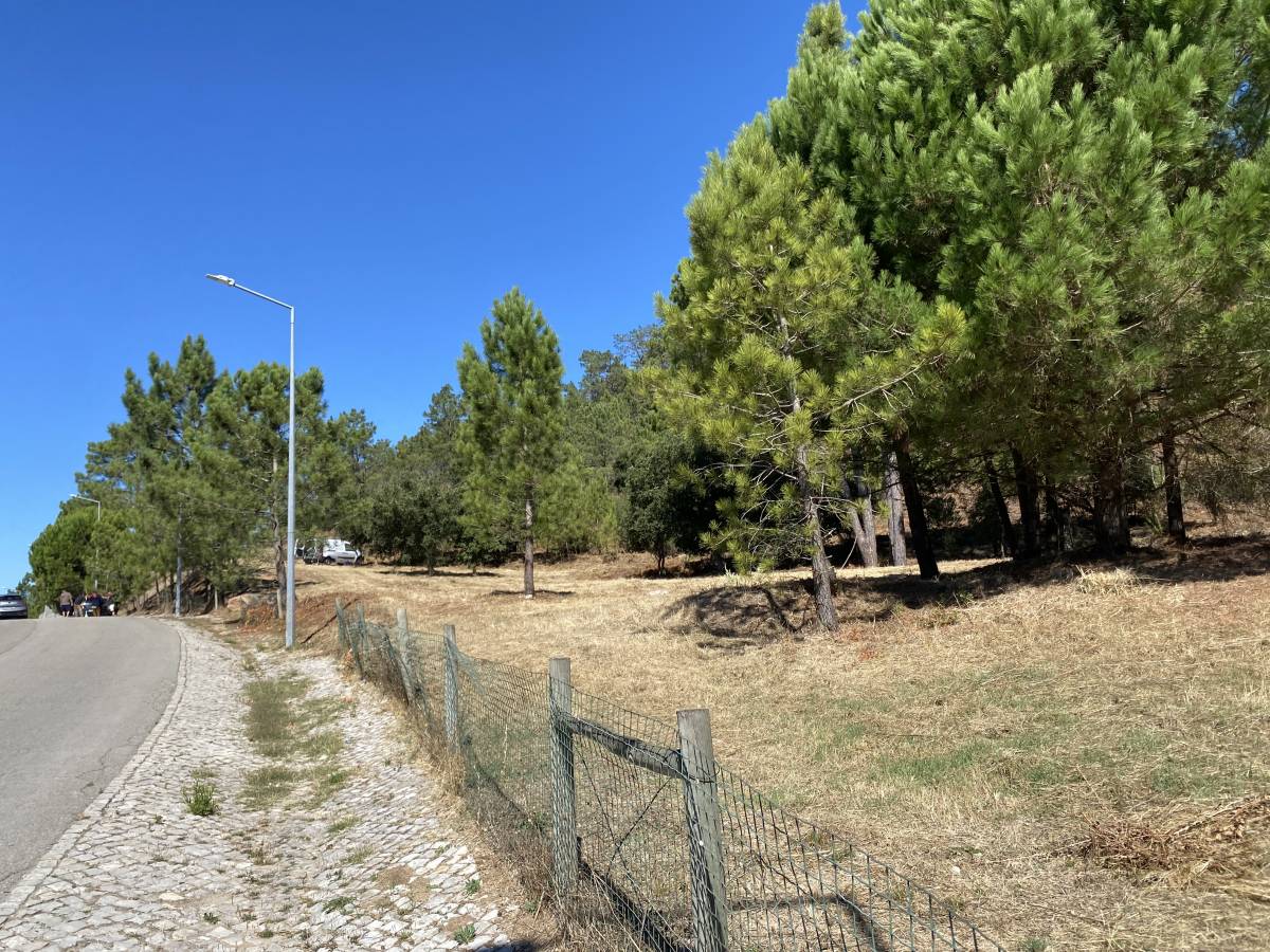 GEONACIONAL by O Chiquinho - Loures - Nivelação de Terreno - Grande Dimensão (mais de 1 hectar)