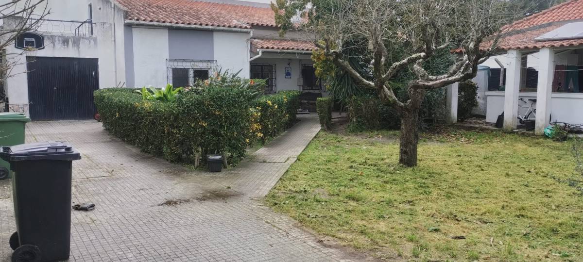 Júlio Lima Jardinagem - Montijo - Poda e Manutenção de Árvores