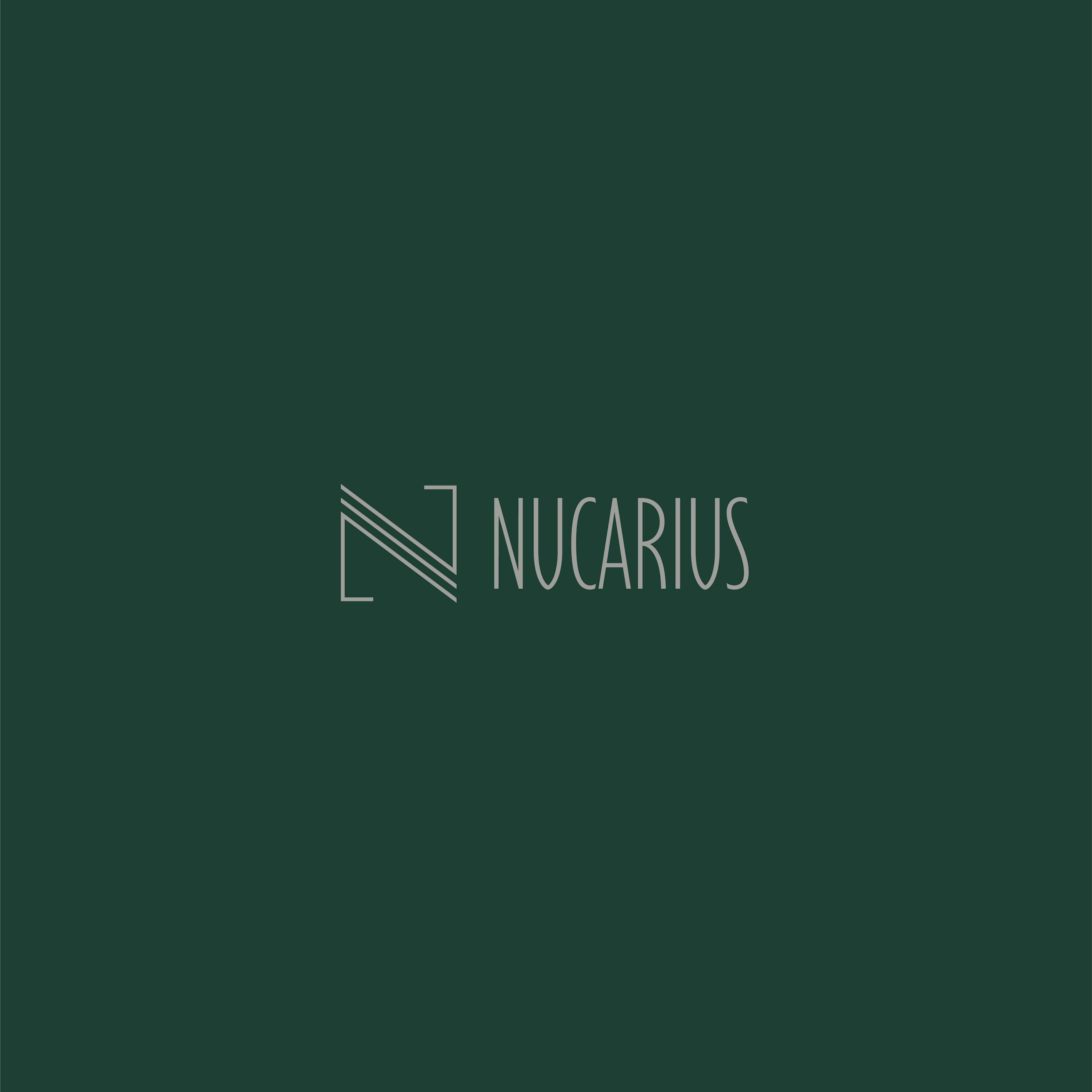 Nucarius - Penafiel - Zimmerei und Holzverarbeitung