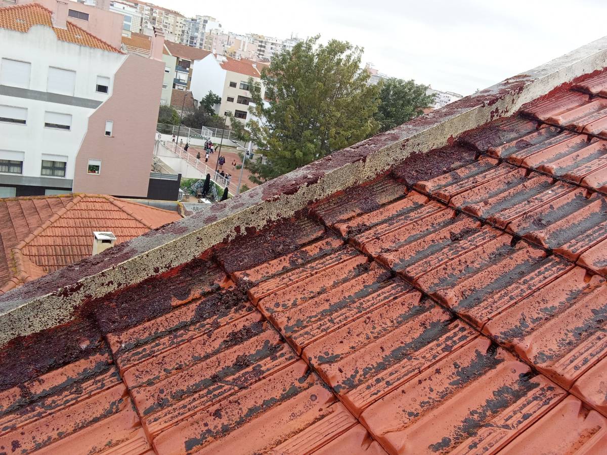 Lx Telhados - Almada - Telhados e Coberturas