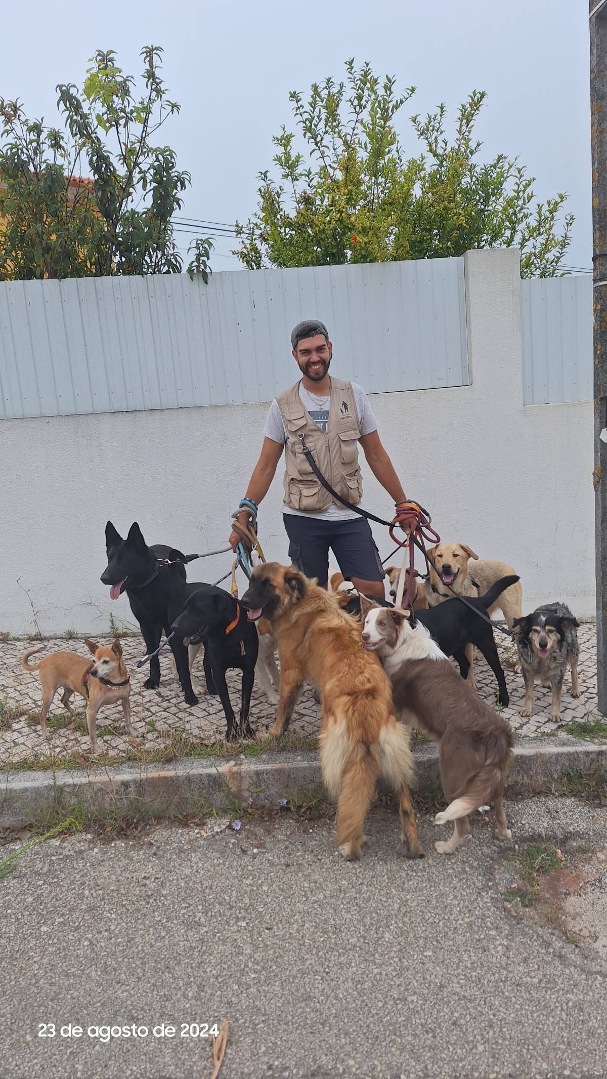 Joaosilva.dogtrainer - Caldas da Rainha - Pet Sitting e Pet Walking