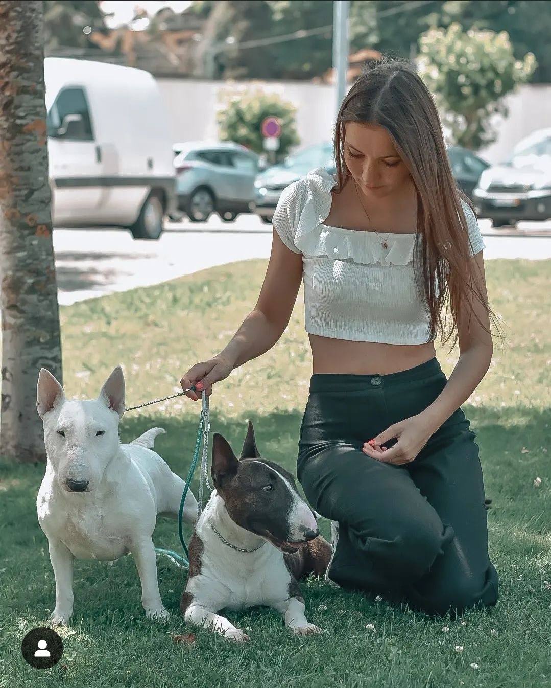 Olga - Amarante - Dog Walking