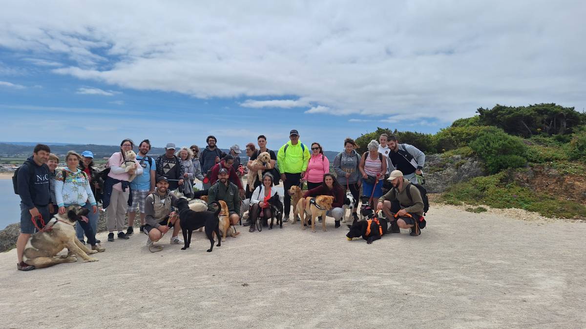 Joaosilva.dogtrainer - Caldas da Rainha - Hotel para Cães