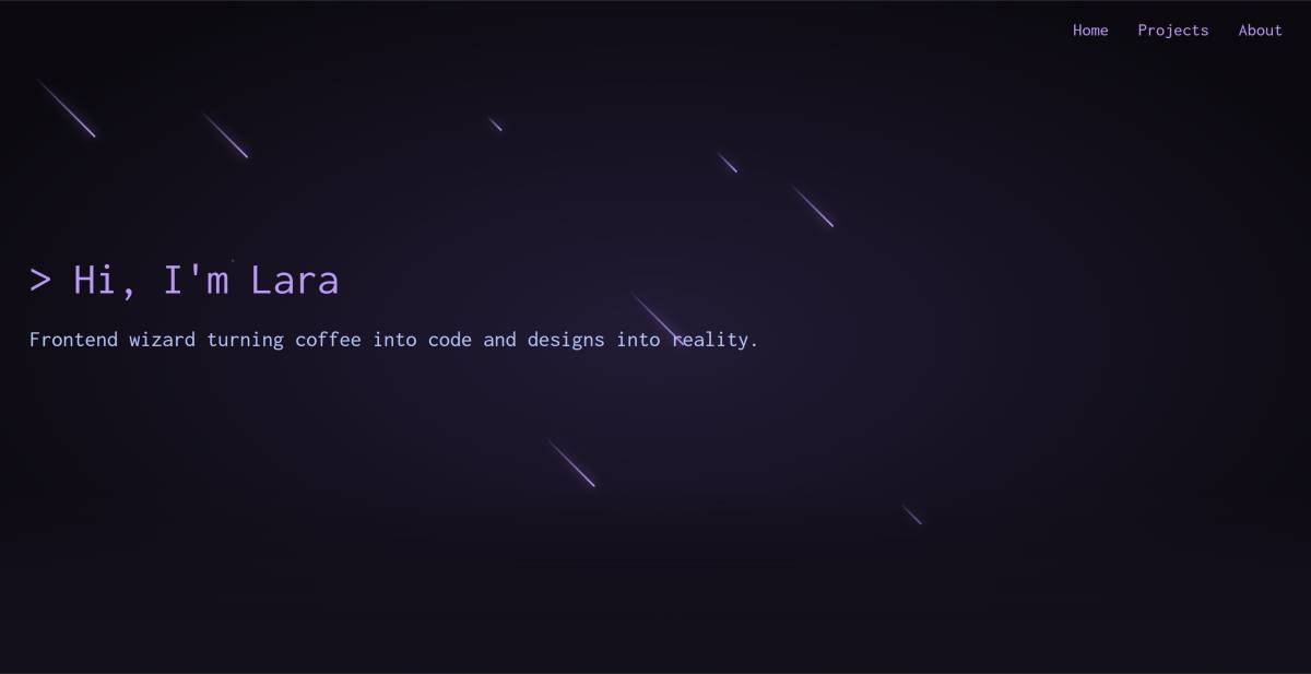 Lara F. Lopes - Covilhã - Web Development