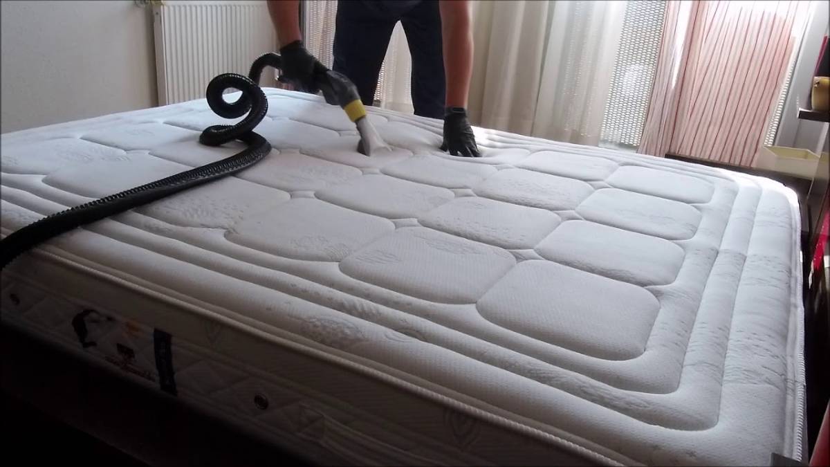 Purifique - Gondomar - Rug Cleaning
