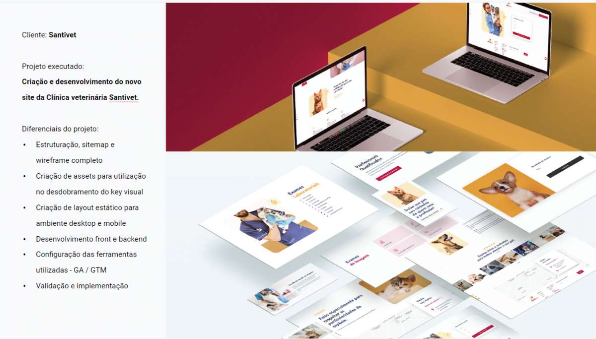 Pedro Lavorenti (Agência Bulls Digital) - Coimbra - UI Design
